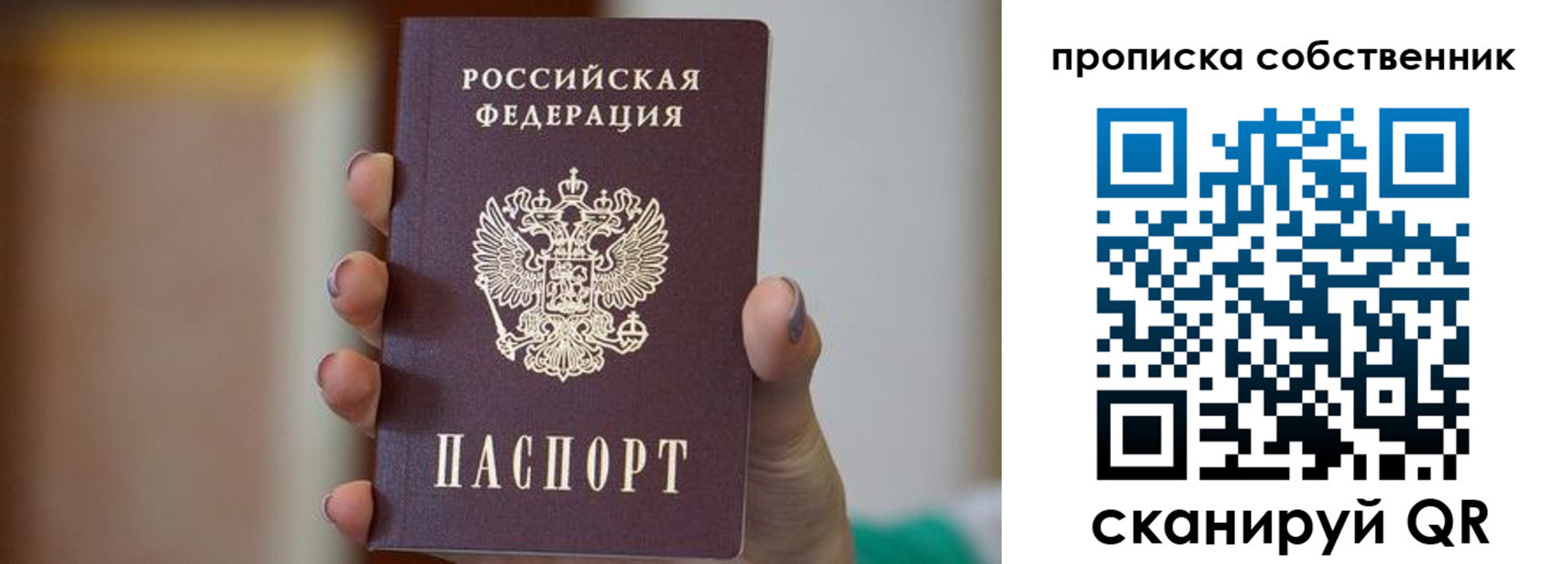 прописка поиск в Курской области